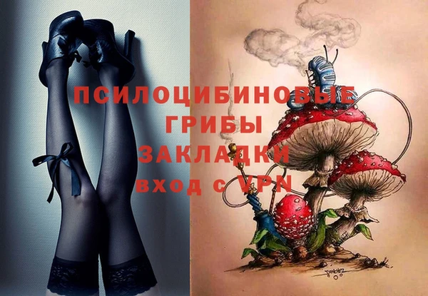 винт Алексин