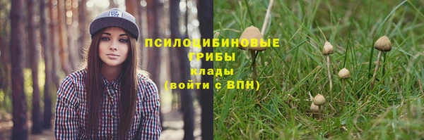 стаф Алексеевка
